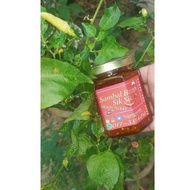 SAMBAL BERAPI SIK SIK HJM