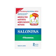 SALONPAS Pain Relieving Patch Large Size 2s