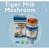 Tiger Milk Mushroom Powder