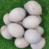 K Harvest - Century Duck Eggs (One Pcs)