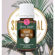 Young Living Idaho Balsam Fir Essential Oil Singles 15ml