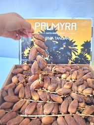 Kurma Tunisia Tangkai Palmyra 5Kg FRESH