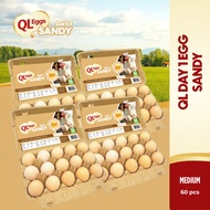 QL Sandy Day 1 Egg - Medium 60pcs Fresh Egg Farm Fresh Egg Telur Segar