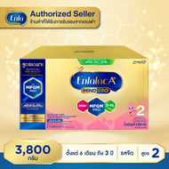 Enfalac A+ สูตร 2 นมผงดัดแปรงสำหรับทารกและเด็กเล็ก สำหรับช่วงวัยที่ 2 ขนาด 3800 กรัม (1 กล่อง) MG