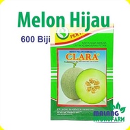 BENIH MELON HIJAU CLARA F1 600 BIJI PERTIWI DATARAN RENDAH BUAH BIBIT