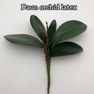 Rubber Latex Orchid Leaf With Roots Daun Orkid (3 sizes)