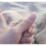 Clean Fine White Sand Children's Toy Sand Hermit Crab Sand Playground Sand Aquascape Sand Garden San