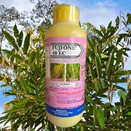 [ORIGINAL] 1L FUJIONE 40EC ACM KARAH DAUN / REPUT TANGKAI PADI RACUN / RACUN KARAH FUNGICIDE / RACUN
