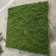 FIBER GROSS GRASS CARPET 1M X 1M – DECORATIVE ARTIFICIAL GROSS GRASS CARPET