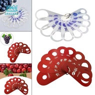 Gralara Fruit Diameter Measuring Ruler Blueberry Measuring Ruler Compact Practical