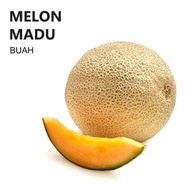 TERLARIS BIBIT BENIH MELON MADU/100 PCS BENIH MELON MADU
