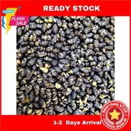 [Bentong Star] [beans] Organic Roasted Black Bean 古早味炒黑豆 HALAL Wholesale Wholesale