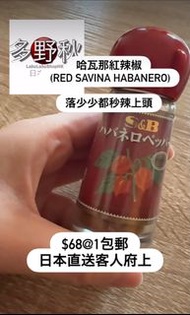 🌶️🔥 日本代購｜S&B 哈瓦那辣椒粉（Habanero） 真係辣到上頭！