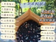 SG193-珍寶多肉顆粒土🔥多肉植物小盆栽園藝用品🔥