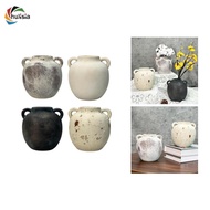 [chulisia] Rustic Ceramic Vase Wabi Sabi Decorative Vase Gift Decors Bud Vase Pottery Vase for Desk 