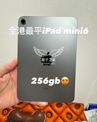 (應該係全港最平ipad mini 6 256系列)APPLE ipad mini 256gb/灰色