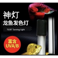 Arowana Tanning Light. Either i) 13000k-White Or ii) 2700k-Yellow T5 Tanning Light. For both red aro
