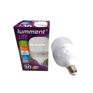 Jumbo led light bulb lumment 30W