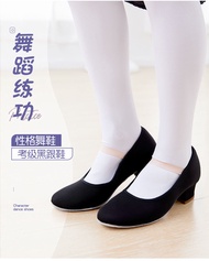 Dance Shoes, Practice Shoes, Dance Shoes, Ballet Character Dance Shoes, Children's Dance Shoes, Wome