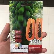 Benih Betik Hong Kong JomTanam 120 (10 biji)