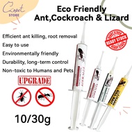 New ECO Friendly Gel Ant Bait / Anti Ant Bait Wipe Out Gel Eco Bait Cockroach Bait Lizard Bait Ubat 