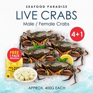 *BestSeller*🦀Live Crab (Buy 4 Free 1) 400g each 🦀 + Free Mantou 1 Pack [ FREE DELIVERY ]