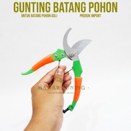 Tree Stem Scissors Flower Stem Scissors/