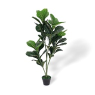 Fig Tree, Fig plant, Artificial Fig Tree, Fiddle Fig, Ficus Lyrata, Fig Leaf, home decor, events Apl