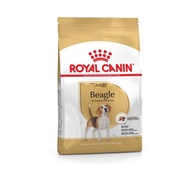 Royal Canin Beagle Adult 3kg 3 kg RC df dog food dog food good dog food