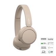 Sony WH-CH520 Headphones