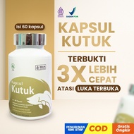 Kapsul Kutuk Original Asli - Kapsul Kutuk Pengering Luka Ikan Gabus Albumin