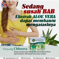 Herbal drink for treating constipation / DIET PLUS DETOX / Vitayang Chlovera