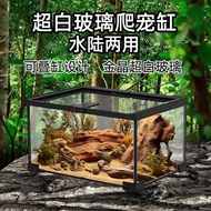 Climbing Pet Tank Rainforest Tank Hermit Crab Breeding Box Fish Tank Gecko Lizard Snake Frog Spider 