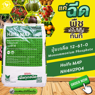 ปุ๋ย 12-61-0 NH4H2PO4 Monoammonium Phosphate MAP ปุ๋ยเกล็ด Haifa MAP (NPK 12-61-0) บรรจุ 25 กิโลกรั