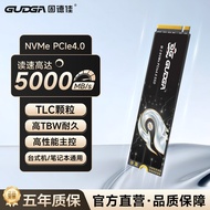 R NVMe PCIe4.0 M2 SSD 512GB