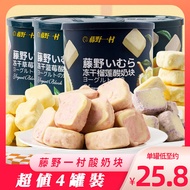 Trehold One Village Dried Fruit And Yogurt Blocks in Canister Freeze Dried Strawberry Blueberry Peac