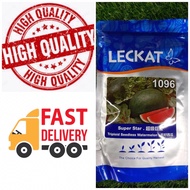 Benih Tembikai Merah Super Star 1096 Triploid Seedless Watermelon Leckat - ( 100g ) 👍 💯
