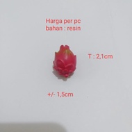 Miniature Dragon Fruit Miniature Dragon Fruit