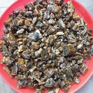 💯Damar hitam katilayu batu kemenyan Amber getah pokok berdamar 10gram gred kualiti terbaik AAA buy 5