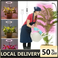 Grow Lights 72LEDs Full Spectrum Plant Light 3 Light Modes Plant Grow Light 10-Level Dimmable 3/9/12