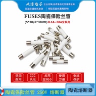 5x20mm Ceramic Fuse Tube 250V Fuse 6x30 1A 2A 3A 5A 8A 10A 15A 30A