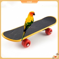 Souqt|  Skateboard Toy Mini Ease Anxiety Plastic Skateboard Training Toy for Budgie