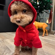 毛小孩過新年| 客製寵物姓名帽T