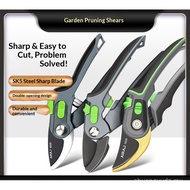 Pruning Shears SK5 Household Fruit Branch Shears Gardening Gardening Shears Gardening Tools