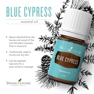 BLUE CYPRESS ESSENTIAL OIL
