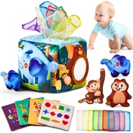 Baby Toys 6-12 Months - Montessori Toys for 6 Month Old Sensory Toys Baby Tissue Box Toy 6 7 8 9 12 