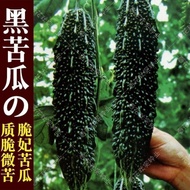 [Black Pearl Bitter Gourd Seed] Black Concubine Bitter Gourd Seed Black Bitter Gourd Seed Big Meat B