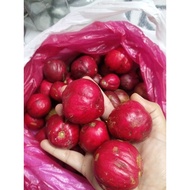 Buah mahkota dewa 5 biji