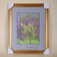 [ SHIP IN 24 JAM ] Frame Gambar 11x14inch(11R) berkualiti