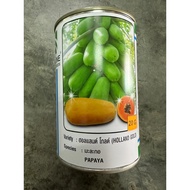 Tin 20g (1000 Biji) HOLLAND GOLD Biji Benih Betik Sekaki Premium Thailand 1Feet Papaya Seeds Seedlin